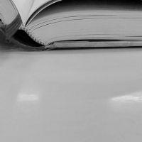 Profile picture for user disnaariyanti