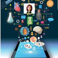 Yesica Gisele Moreira