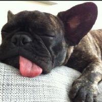 Profile picture for user JuliaMakarova