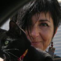 Profile picture for user MsAllegre