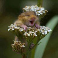 Profile picture for user kajag