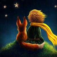 Profile picture for user rescatada