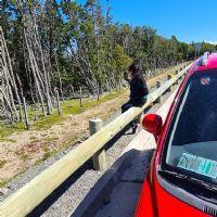 Claudia Alejandra Cárdenas Ojeda