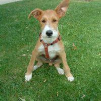 Diana Carolina Martínez Gamboa