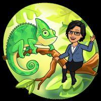 Profile picture for user marin_educa