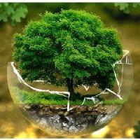 Profile picture for user TeacherStephanieC