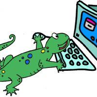 Profile picture for user teacherfatima