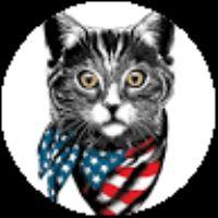 Profile picture for user MissKitti