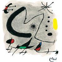 Profile picture for user carovaldiri