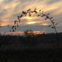 Profile picture for user JUSTYNAPL