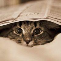 marian lizeth moreno bailon 