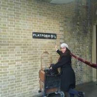 Profile picture for user safesojjosefas