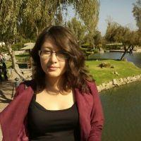 Nubia Yáñez Retamal Nubia Yáñez Retamal