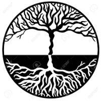 Profile picture for user Maite_QL