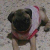 Melissa Montserrat Cruz