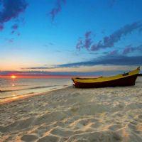 Profile picture for user ozzozz