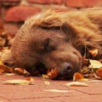 Profile picture for user marinafcecca