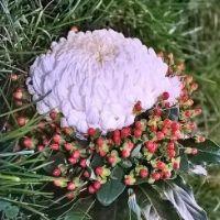 Profile picture for user NPuhner