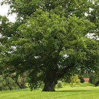 Profile picture for user Landera