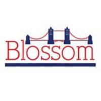 Profile picture for user BlossomEnglish