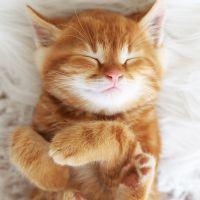 Profile picture for user Valentina_Vladimirovna