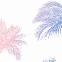 Profile picture for user WardahMH