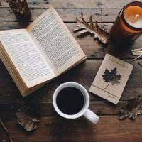 Profile picture for user Diana_DK