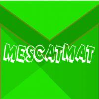 Rafael Ferrer Burgués