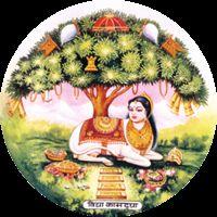 Profile picture for user murari