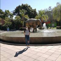 Profile picture for user FernandaCrP