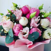 Profile picture for user Nadzeya