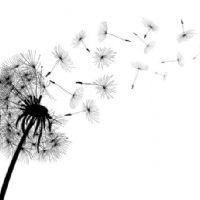 Profile picture for user Mariagarciasuarez