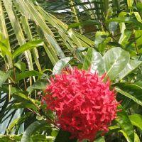 Profile picture for user Yati_J