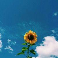 Profile picture for user moheymeii