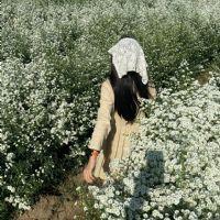 KAWISARA WORAPHATKHACHONKUN