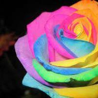 Petchsomjai Thinkratok