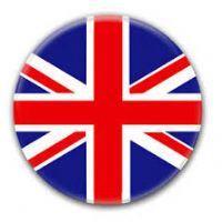 Profile picture for user misspingeon