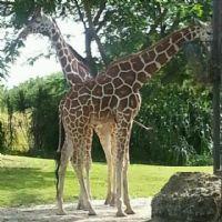 Profile picture for user fayetodd4