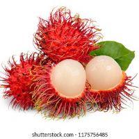 Profile picture for user WeeOun