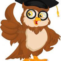 Profile picture for user RayaD