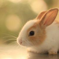 Profile picture for user Andy_u.u