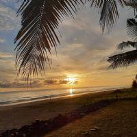 Profile picture for user thehiddenblackrose