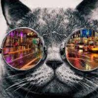 MARDZIAH BINTI ABDUL RANI