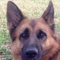 Profile picture for user MaestraNicole