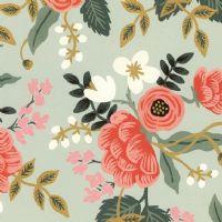 Profile picture for user profesorayesica