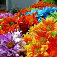 Profile picture for user martinaalbano727