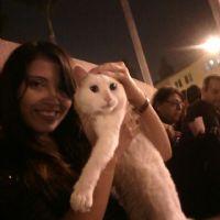 Profile picture for user MERCEDES99