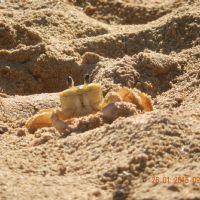 Profile picture for user vtakamatu