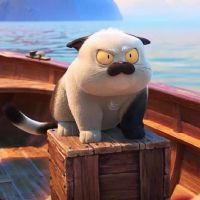 Profile picture for user toeynatnaty