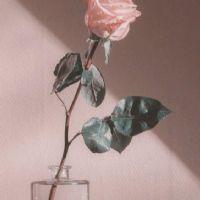 Profile picture for user HamizahHarun